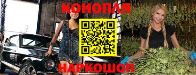 гашик Бузулук