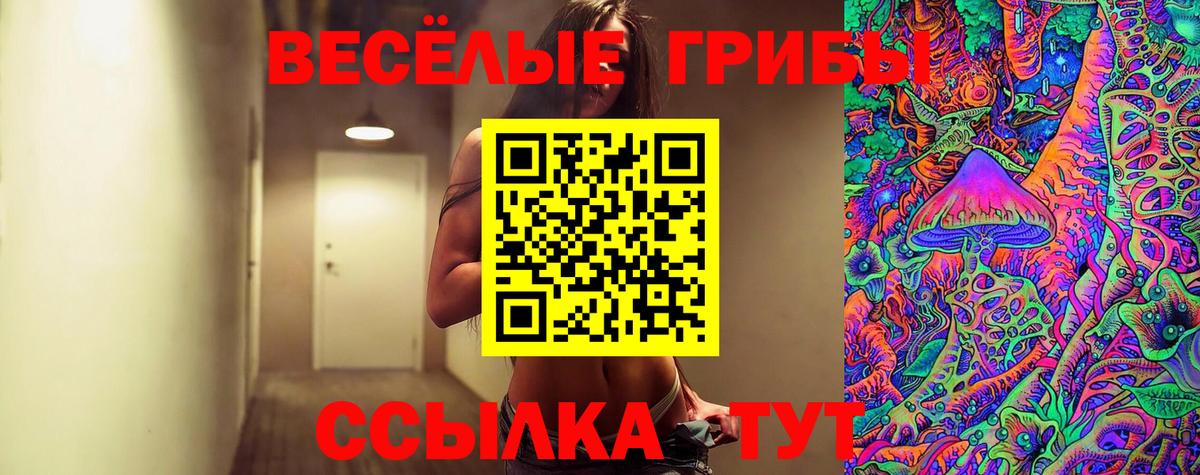 Псилоцибиновые грибы MAGIC MUSHROOMS Подольск