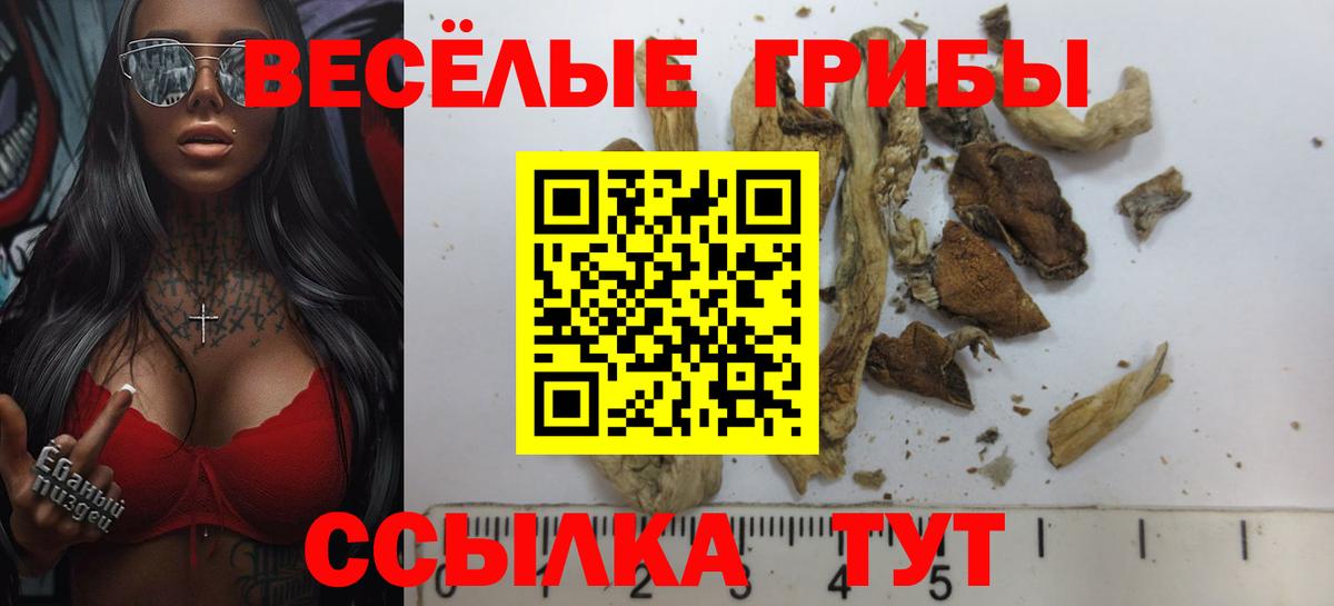 Подольск  Псилоцибиновые грибы Cubensis  купить закладку  Вход с VPN 