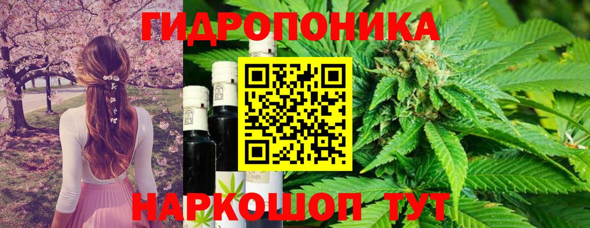 Бошки марихуана марихуана Подольск